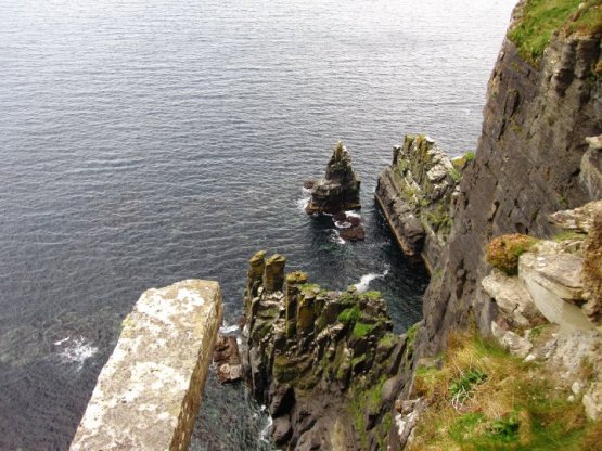 31969_429383014282_4257583_n