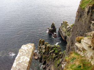 31969_429383014282_4257583_n