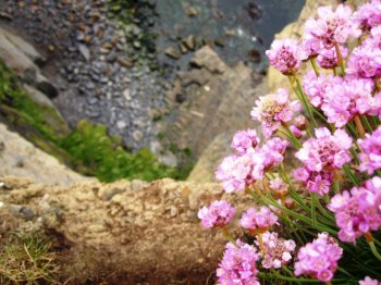 31969_429382759282_6989362_n