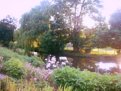 Aviary Photo_130759602196680547