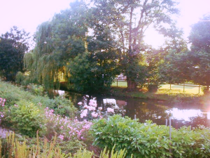 Aviary Photo_130759602196680547