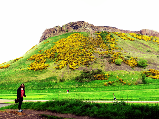 Aviary Photo_130767411200644678