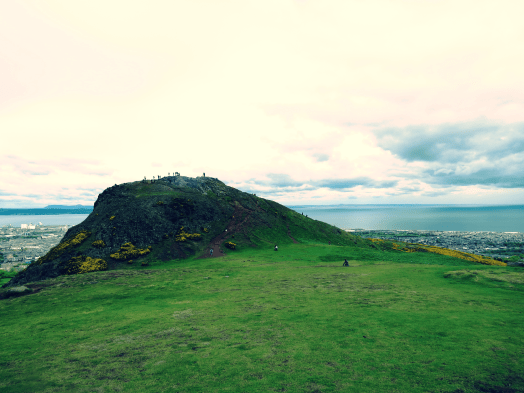 Aviary Photo_130767412899660080