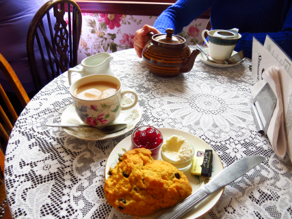 Aviary Photo_130775152671566193