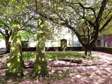 Aviary Photo_130775152850720609