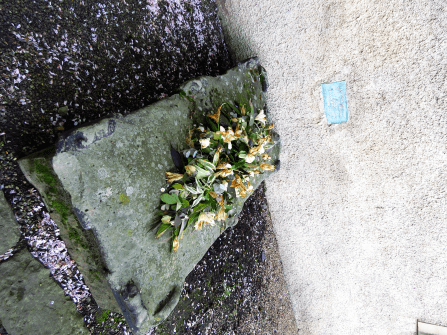 Aviary Photo_130775153274880983