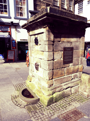 Aviary Photo_130775155454970018