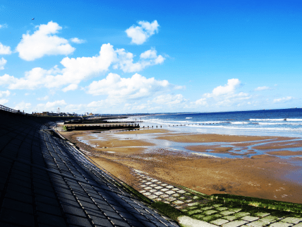 Aviary Photo_130799894578819936