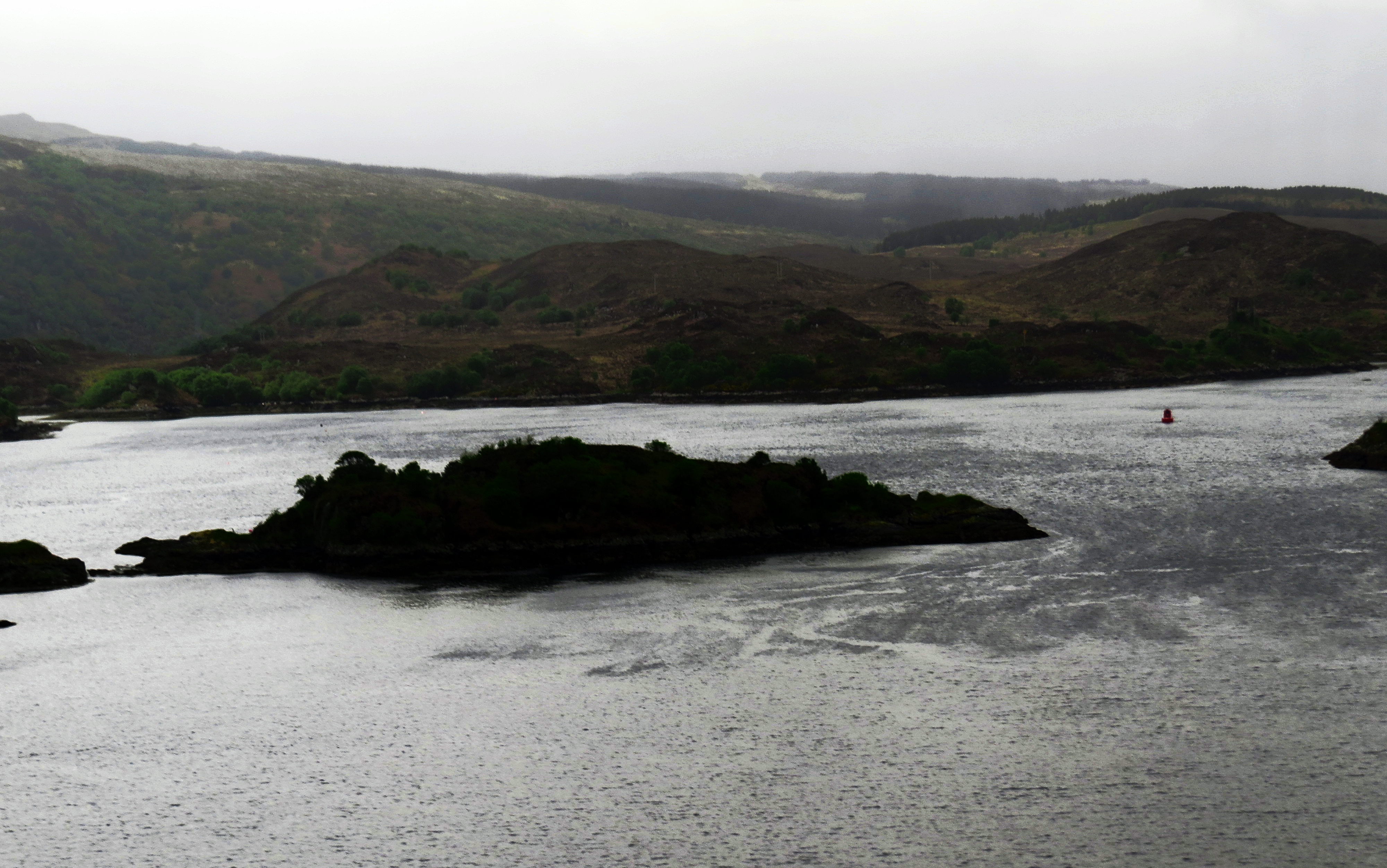 Aviary Photo_131042907303982887