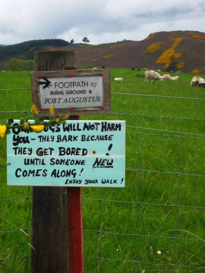 10259826_10154152484600034_7265946367467590937_n