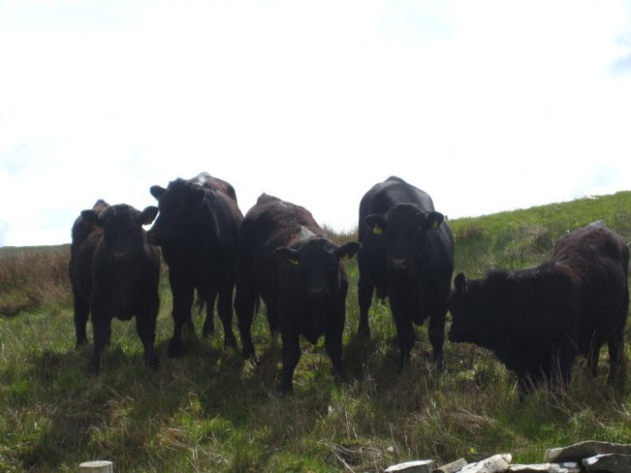 30219_433484744282_2638222_n