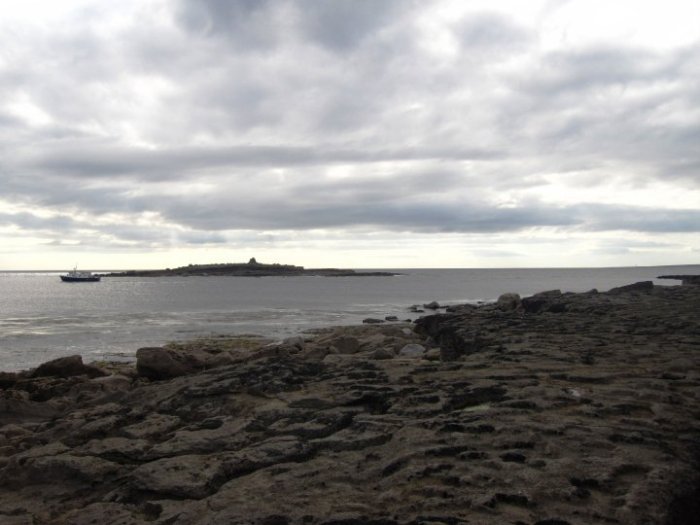 31969_429382454282_5680357_n